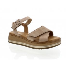 Adiva | 62-741-30