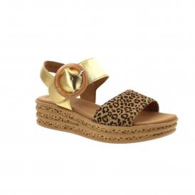 Andre | 64-550-32