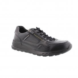 Bradley | 6100/11752