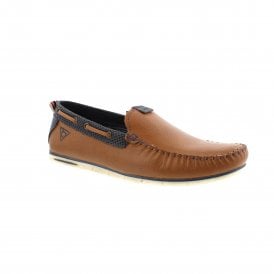 Chesley | 321-A2X65-1000-6300