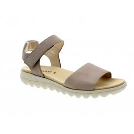 Chiffon | 64-810-12