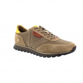 Cirino | 331-A021D-1469-5353