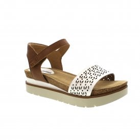 Clea 09 | 72809-42001