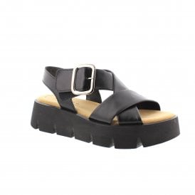 Daphne | 64-752-27