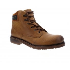 Donear | 321-AP250-1200-6300