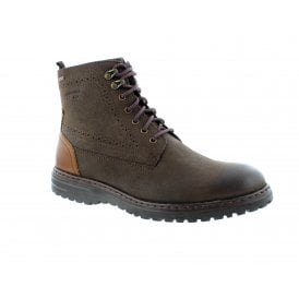 Erroll 53 | 42953-MA071331