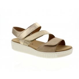 Marigold | 63-600-34