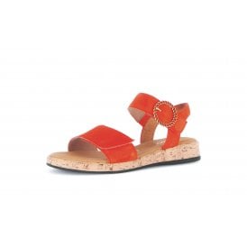 Opton | 62-734-23
