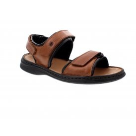 Rafe | 10104-95013350