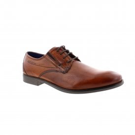 Savio Evo | 311-19605-4100-6300