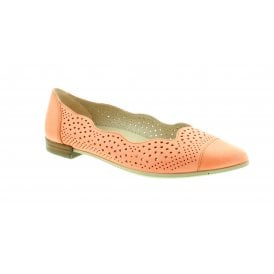 Shape Point | 262943-02317