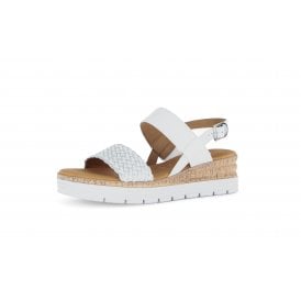 Sugar | 62-705-51