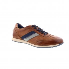 Thorello | 311-A9Q05-4000-6300
