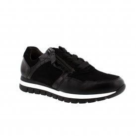 Willet | 76-438-67